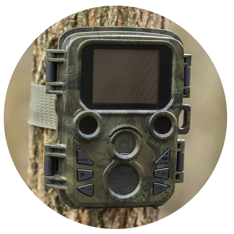 trailcamera